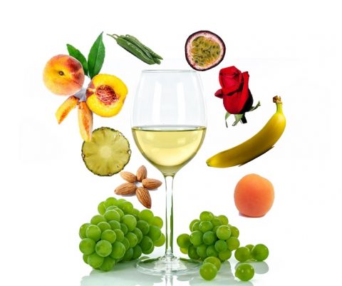 Vinificazione in bianco: marker di processo e profilo aromatico dei vini